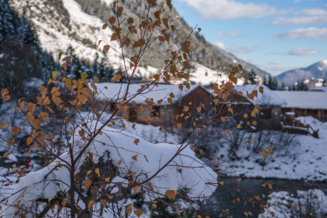 35mm F1.8