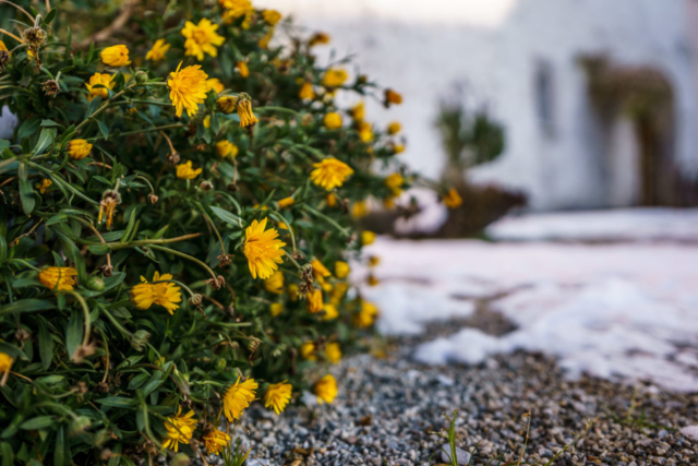 19mm F1.9